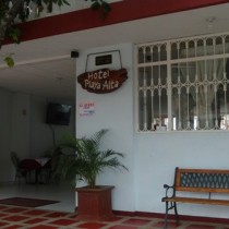 Hotel Playa Alta 71303