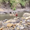 Dia Solar Apulo