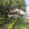 Dia Solar Chinauta