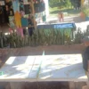 Dias Solares Nilo Zafari