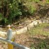 Dias Solares Nilo Zafari