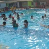 Dias Solares Nilo Zafari