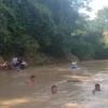 Dias Solares Nilo Zafari
