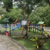 Plandia Solar Mesitas Los Chamos