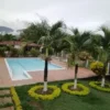 Altos de Nilo 7