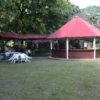 Pasadia Melgar El Dorado