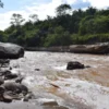 Pasadia Melgar El Dorado