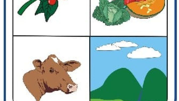 Hotel NIco Bed & Breakfast