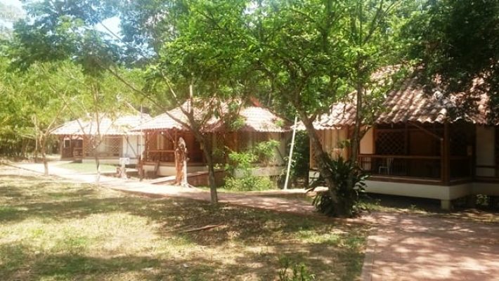 Azufrados Nilo Babilonia2