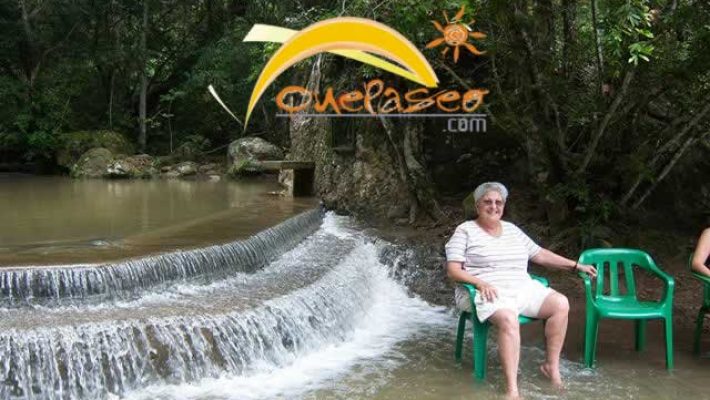 Mangostino Nilo 71456