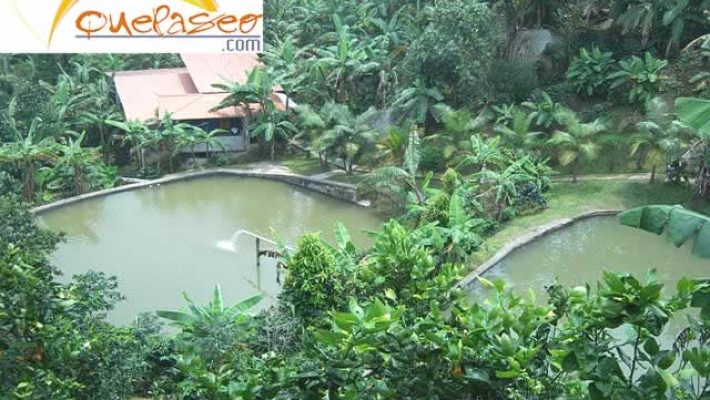 Mesitas Villa Loren 71459