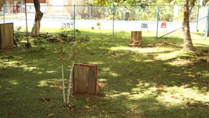 Día Solar Tocaima la Guaca 71487