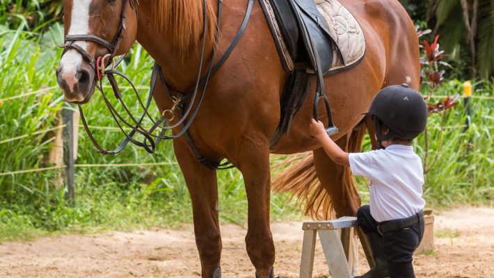 Club Campestre El Bosque.