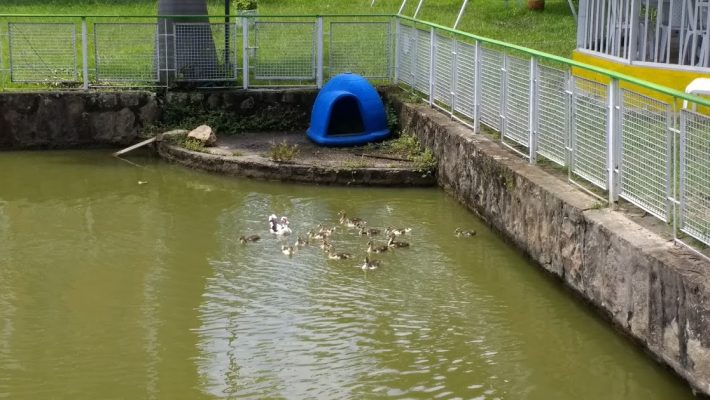 Centro Recreacional Villa Cristina