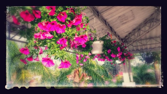 Centro Recreacional Villa Cristina