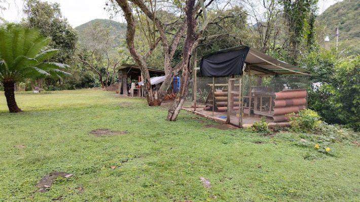 DIa Solar Apulo 71216_4