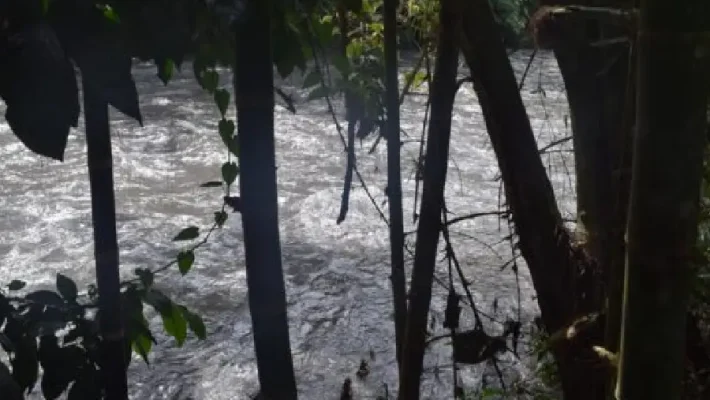 Día Solar Barato La Vega