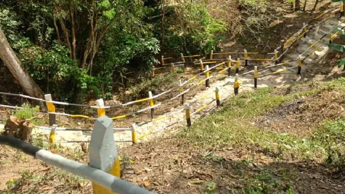 Dias Solares Nilo Zafari