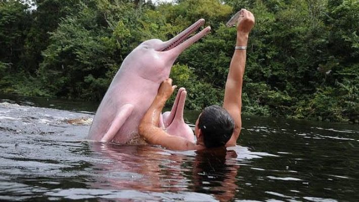 Hotel Delfines Puerto Carreno6