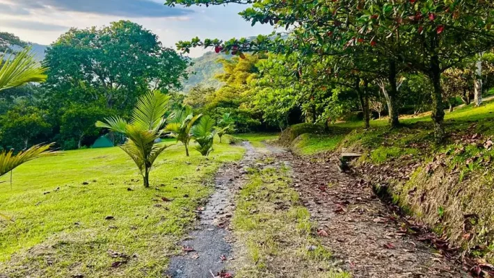 La Vega Claro de Luna