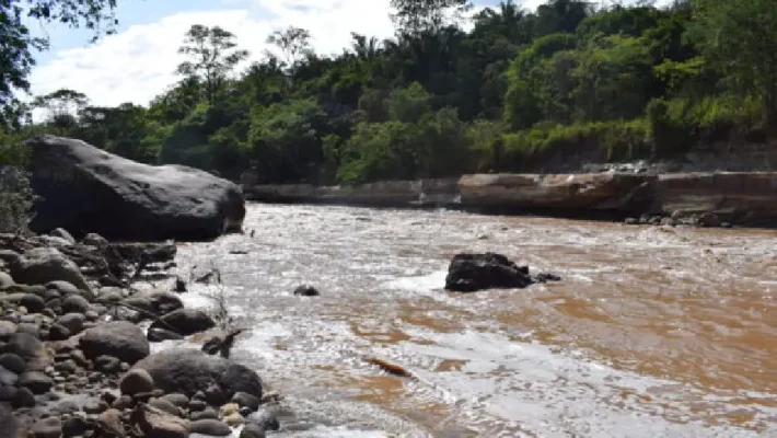 Pasadia Melgar El Dorado