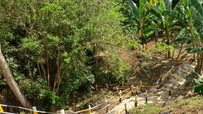 Días solares pensionados7